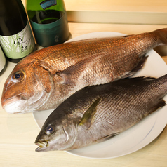 鮨かわいの写真2