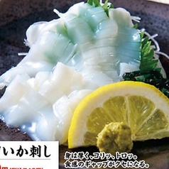 紋甲いか刺し/まぐろ刺し