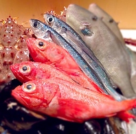 新鮮な魚介