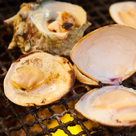 【炭火でじっくり】毎日直送仕入の魚貝類の旨味大満喫♪