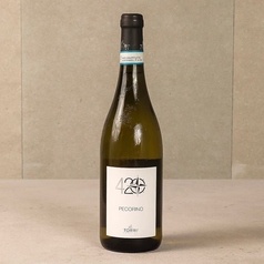 トッリ ペコリーノ