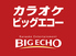 ビッグエコー BIG ECHO 亀田駅前通店のロゴ