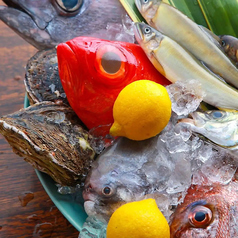 うまいもん とれとれ市場 神戸駅前のおすすめポイント1