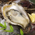 夏は“岩牡蠣”☆旬の素材を活かした逸品料理の数々！ご賞味あれ！