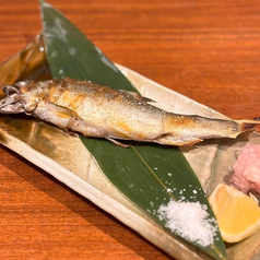 青森県産 金鮎