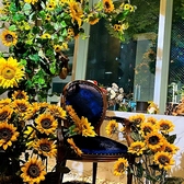 四季折々に変わる店内装飾。季節ごとの装飾と合わせてコースの前菜盛り合わせ、記念日プレート、アフタヌーンティーのティースタンド、季節限定メニューなど、ガラッと雰囲気が変わります♪全ての季節のOto樹をコンプリートしてみて下さい!!!!