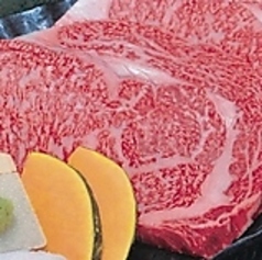 亀さん かめさん のコース写真