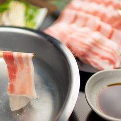 沖縄酒場ハイサイ 東梅田店の特集写真