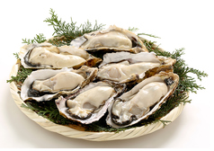 三年牡蠣1kg2000円