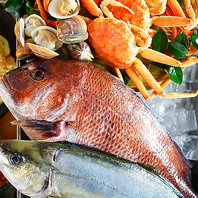 市場から仕入れる新鮮な魚が揃う◎日本酒と一緒に♪