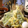 料理メニュー写真&nbsp;地野菜の天ぷら/竹輪の磯辺揚/南蛮風タルタル鶏天/ササミの梅しそ天ぷら/さきイカの天ぷら　各