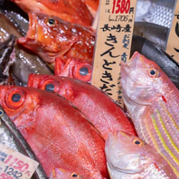 魚種の豊富さは全国1位！