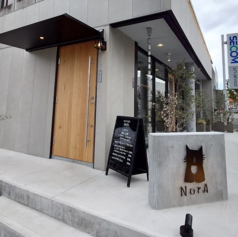 NorA ノラの写真