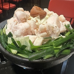 ホキマスタンドのコース写真