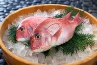 愛媛といえば鯛！瀬戸内産真鯛を存分に楽しんで頂けます