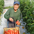 高知県　りぐり自然農園のトマト