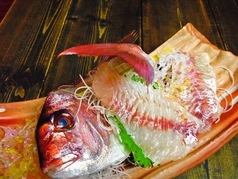 なつかし屋 黒潮市場 弘前市 居酒屋 ネット予約可 ホットペッパーグルメ