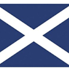 スコッチハイボール