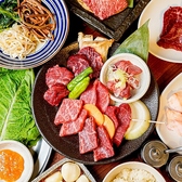 焼肉、ホルモンや野菜焼き、一品料理、ご飯、スープのついた食べ放題ご用意あり！