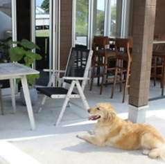 Blue 3CAFE ブルースリーカフェの特集写真