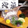 料理メニュー写真&nbsp;鯵の姿造り