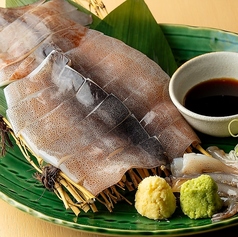 するめイカ姿刺し
