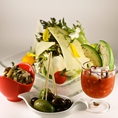 【新鮮なお野菜】選び抜かれた鎌倉野菜を使用し、サラダ・タパスをご用意しています。