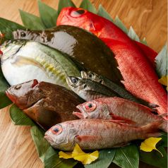 旬の新鮮な魚を仕入れ、和食らしさを際立させる