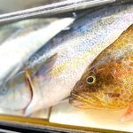 産直鮮魚