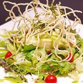 料理メニュー写真&nbsp;パリパリ豆富サラダ(そば粉使用)