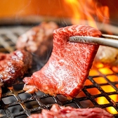 肉問屋直送だから美味しい！ホルモンやカルビ、ハラミも自慢です♪サイドメニューも豊富にご用意◎