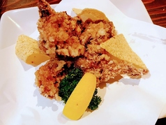 スパイシーフライドチキン