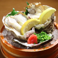 石川県産 天然岩牡蠣 