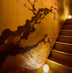 個室居酒屋 赤坂 京小町の特集写真