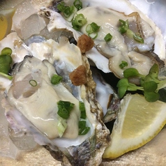 《北海道仙鳳趾産》　生牡蠣