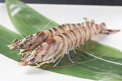 活 車海老の鉄板焼