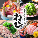 わらび 福井駅前店の写真