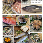 産地直送、目利きの食材を提供します！　-関内　寿司　居酒屋-　糧
