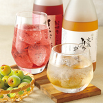 梅酒も豊富に取り揃え。お気に入りの梅酒に出会えるかもしれません