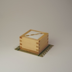 Woodland Echo / ウッドランドエコー