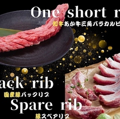 〈ワイルド派オススメ〉・豚スペアリブ、バックリブ 約330g