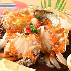 クァンジャン市場 3号店特集写真1