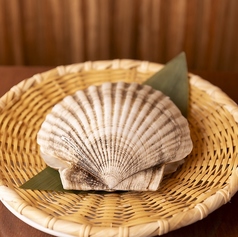 活ほたて　１個