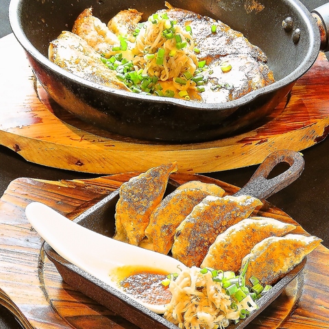 【金山駅3分】沖縄料理&人気のブタトリ餃子が楽しめるお洒落居酒屋♪