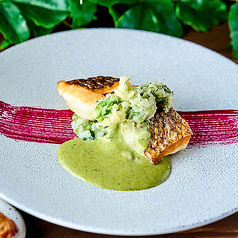 TORRENT とれんと 渋谷ストリームホテルのコース写真