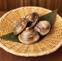 活ハマグリ　２個