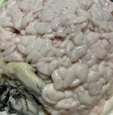 魚処しふく 天満店のコース写真