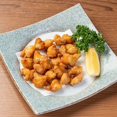 軟骨唐揚げ/イカゲソ揚げ 各種
