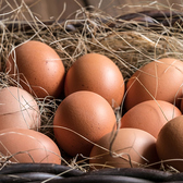 【ヤブサメファームの健康たまご】ファーム秘伝の発酵飼料、名水で知られる冠嶽水系のきれいな地下水、床下の備長炭効果で清潔に保たれた鶏舎の空気など、鶏の健康にとことんこだわった、安心・安全な卵です。濃厚でまろやかな味わいが、料理の味をより引き立てます。