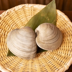 活ホンビノス　１個